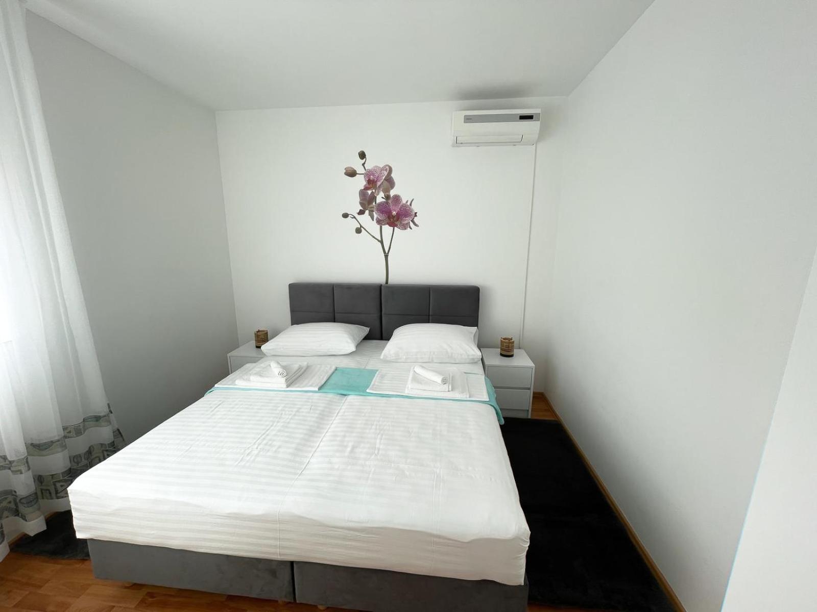 Apartmani Tatjana Novalja Exterior foto
